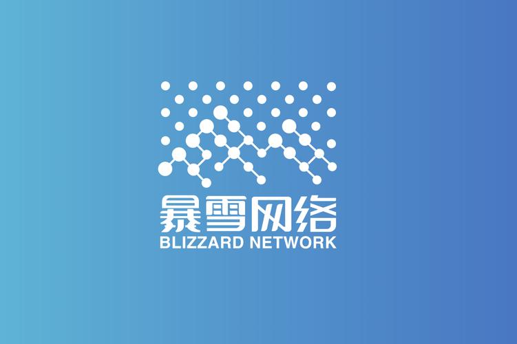 西安暴雪网络科技